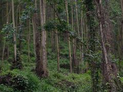 -英西峰林九重天景区