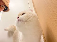 -瑞派康怡24h宠物医院·犬猫医疗中心·微创绝育(瑞景分院)