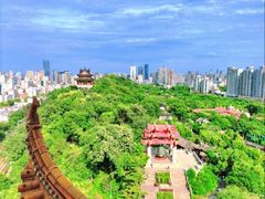 -黄鹤楼公园(黄鹤楼)