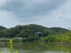 -芦仙山景区-飞越丛林探险乐园