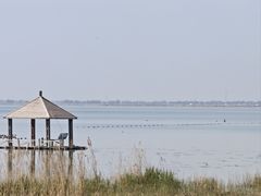 -哈素海
