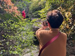-桃花岛景观公园