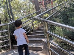 -黄村公园