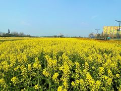 -中国天府农业博览园