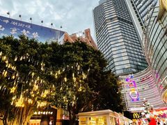 -VT101维多利广场