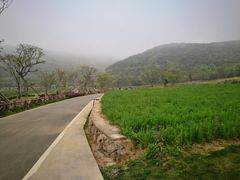 -青龙山公园