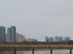 -哈尔滨大剧院