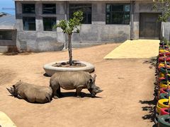 -西霞口神雕山野生动物世界