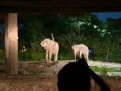 -清迈夜间动物园