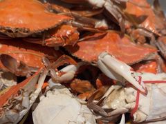 -一方渔歌蒸汽海鲜自助(文化路万达广场店)