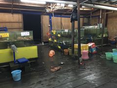-岛中岛·海鲜大排档·万宁老字号(东澳店)