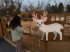-茅山东方盐湖城景区