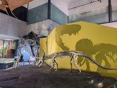 -湖南省地质博物馆