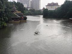 -曼听御花园