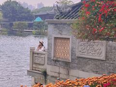-荔湾湖公园