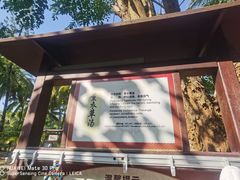 -三亚海棠湾南田温泉神龙谷