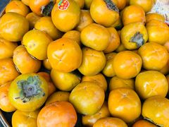 -木守西溪溪隐餐厅