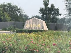-北京鹿世界主题园