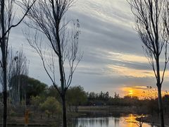 -东郊湿地公园