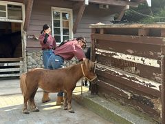 -神户市立六甲山牧场