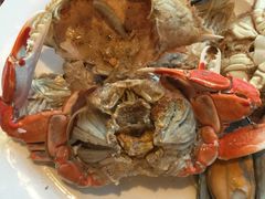 -视界美食自助餐厅·石家庄希尔顿酒店