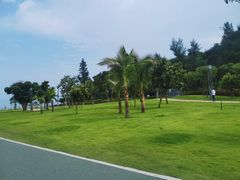 -野狸岛