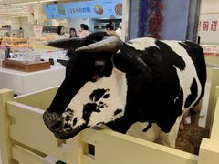 -红星前进面包牛奶公司(君太店)