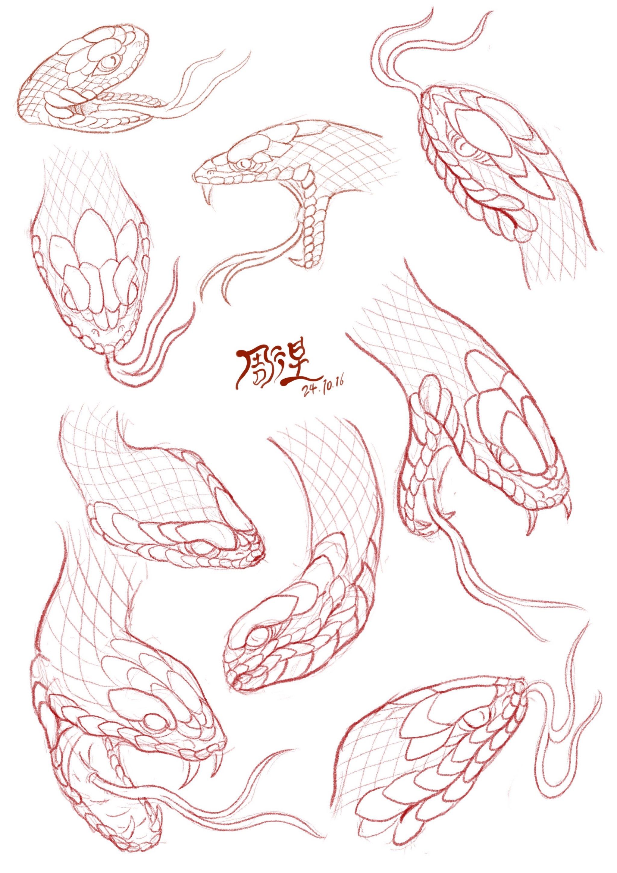 这样的蛇头可以?从基础线条练习逐步提升!#画画打卡 #刺青 #重庆纹身