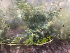 -上海昆虫博物馆