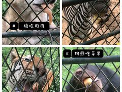 -五龙山野生动物王国