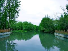 -桤木河湿地公园