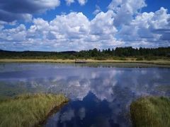 -塞罕坝国家级自然保护区