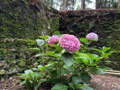 -苍山感通索道