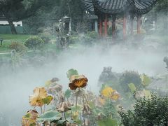 -杭州西湖柳莺里酒店