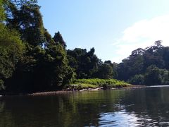 -乌鲁淡布隆国家公园