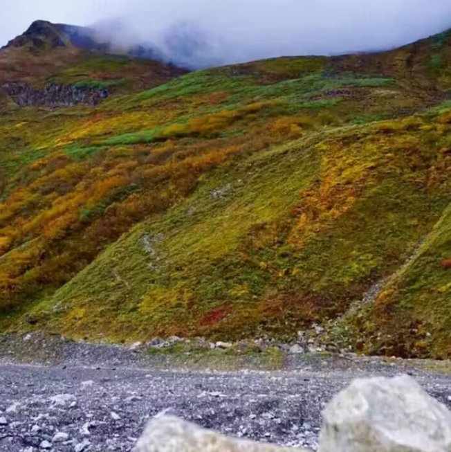 西藏林芝,美丽的地方引人注目嘎隆拉冰川