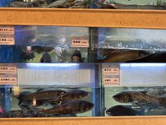 -围龙屋客家食府(福田店)