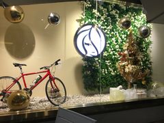 -813芭依珊 BAESAn(汇港购物中心店)