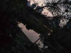 -晓港公园