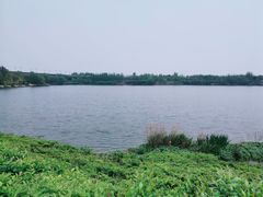 -西安浐灞国家湿地公园