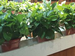 大堂-多福饺·家常菜(谷德店)