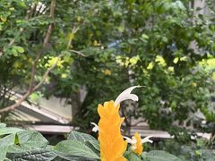 -上海辰山植物园