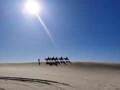 -库伦旗银沙湾旅游景区