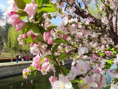 -元大都城垣遗址公园