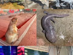 -杭州野生动物世界