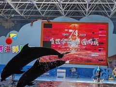 -蓬莱欧乐堡海洋极地世界