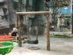 -栾川竹海野生动物园