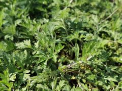 -湖南生物机电职业技术学院(东湖校区)