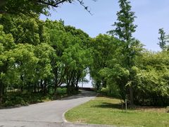 -上海滨江森林公园