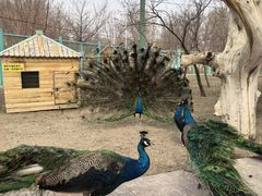 -水上乐园·欢乐世界